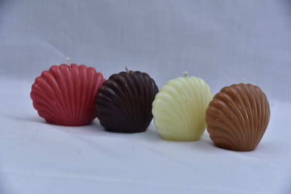 Sea Shell Candles