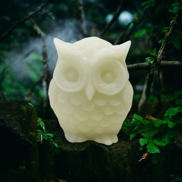 Owl Shaped Candle