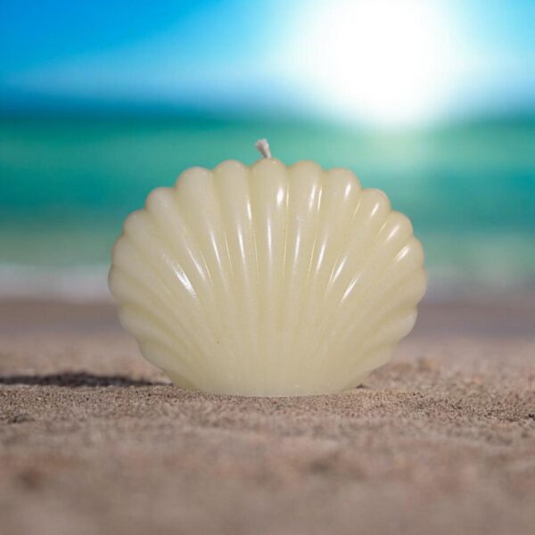 Sea Shell Candles